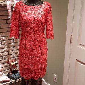 Brand New WOT Lace with Lining Eliza J. Dress